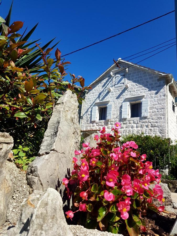 Old Stone Lalosevic